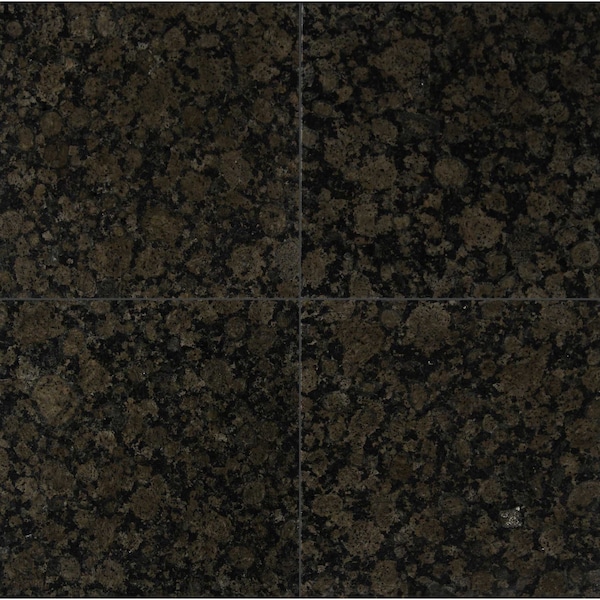 Baltic Brown 12 In. X 12 In. Polished Granite Floor And Wall Tile, 10PK